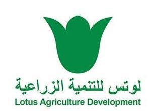 لوتس للتنمية