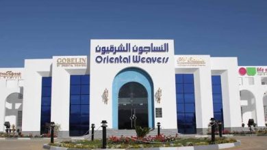 بقفزة 81% في الأرباح وإيرادات تتجاوز 13.9 مليار جنيه.. "النساجون الشرقيون" تنمو بالنصف الأول وتعتمد توزيعات بـ 997.7 مليون جنيه 45 النساجون الشرقيون