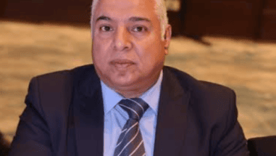 علاء نصر الدين: الصكوك الضريبية تخفض الاحتياجات التمويلية للحكومة 37 Screenshot 2 1