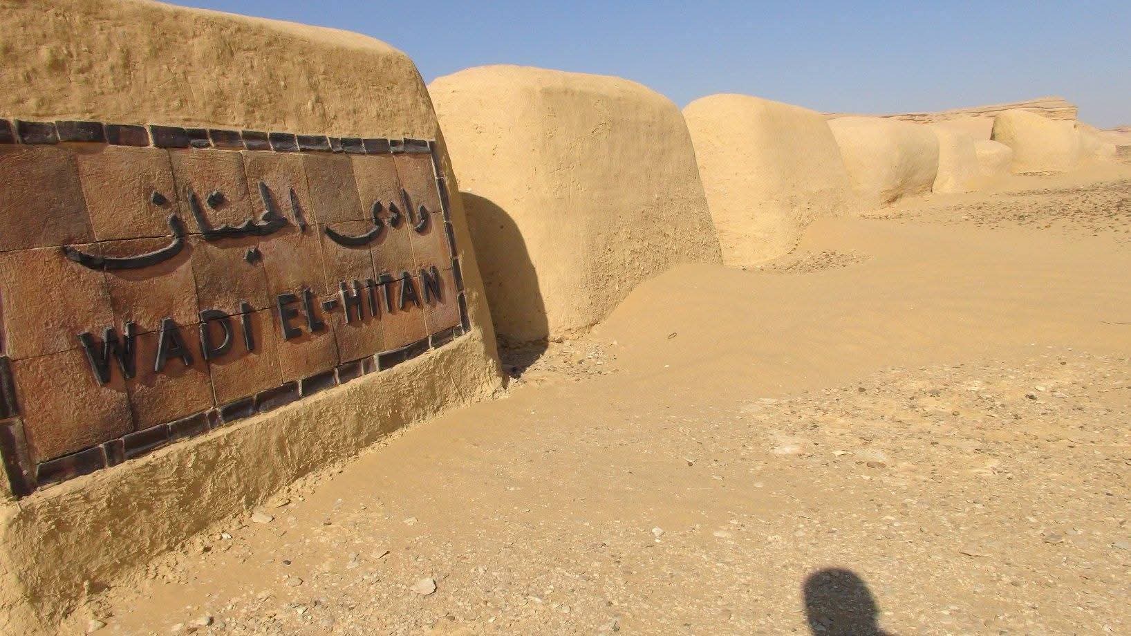 وادي الحيتان يحافظ على مكانته العالمية.. تجديد إدراجه بالقائمة الخضراء الدولية حتى 2031 تأكيد على ريادة مصر البيئية. 68 WhatsApp Image 2026 05 07 at 19.37.15
