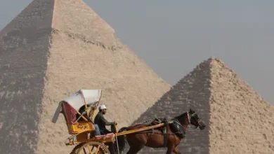 تحالف حكومي لإنشاء "نيفيرا مصر".. مطور عام لأكبر مجتمع سياحي وثقافي بالشراكة مع القطاع الخاص 33 Y3wL3uazoH 1785494352